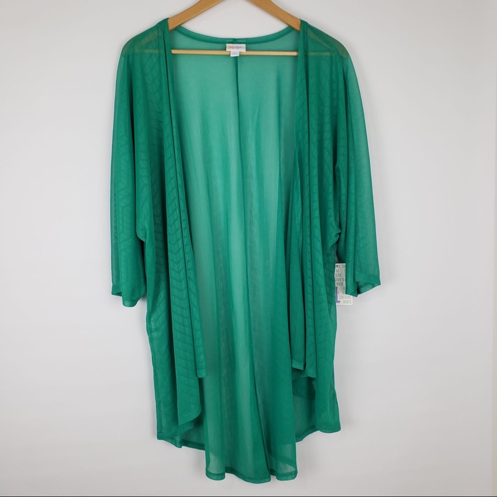 LulaRoe Lindsay Green Top |RETIRED|🎁 w/all orders - Picture 1 of 2